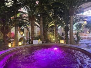 Rundpool mit lila Lichteffekten, umgeben von Palmen und Pflanzen in einem Innenbereich.