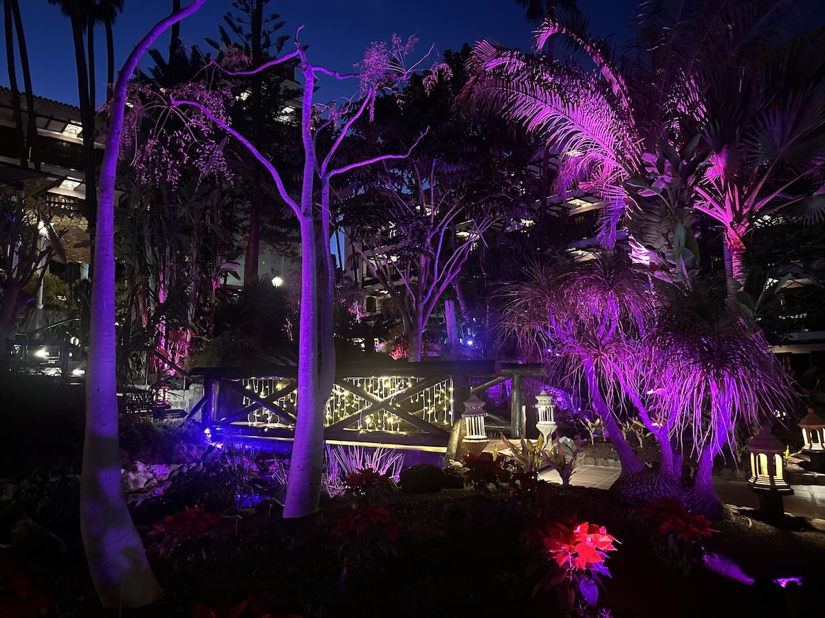 Nächtliche Gartenszene mit violett beleuchteten Bäumen und Laternen; Parque Tropical-ähnlicher Gartenbereich in Playa del Inglés, Gran Canaria, romantische Lichtstimmung
