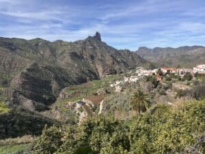 Promenade am Strand von Gran Canaria mit Palmen, Glasfronten von Restaurants, grünem Grasstreifen und blauem Meer im Hintergrund unter klarem Sonnenschein