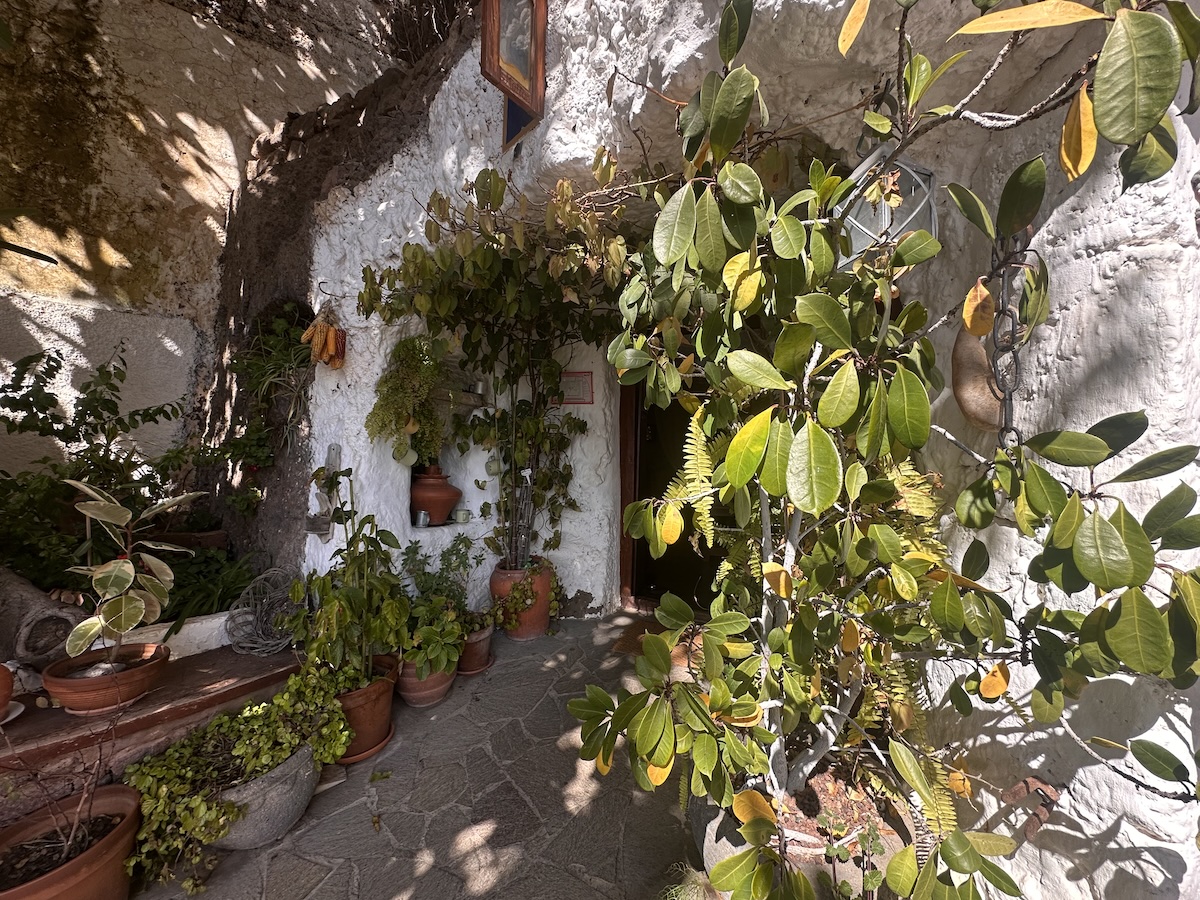 Grüner Terrassengarten vor einem weißen Kalkstein-Hof auf Gran Canaria, reich bepflanzt mit Kübelpflanzen, Rankpflanzen und sonnenbeschienenen Blättern; Tejeda-Feeling spürbar.