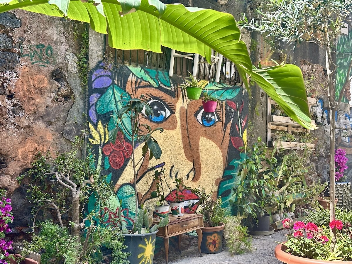 Buntes Graffiti mit Frauengesicht vor Lavasteinwand in Catania, umrahmt von grünen Bananenblättern, Pflanzen und Terracotta-Töpfen im Innenhof der Altstadt.