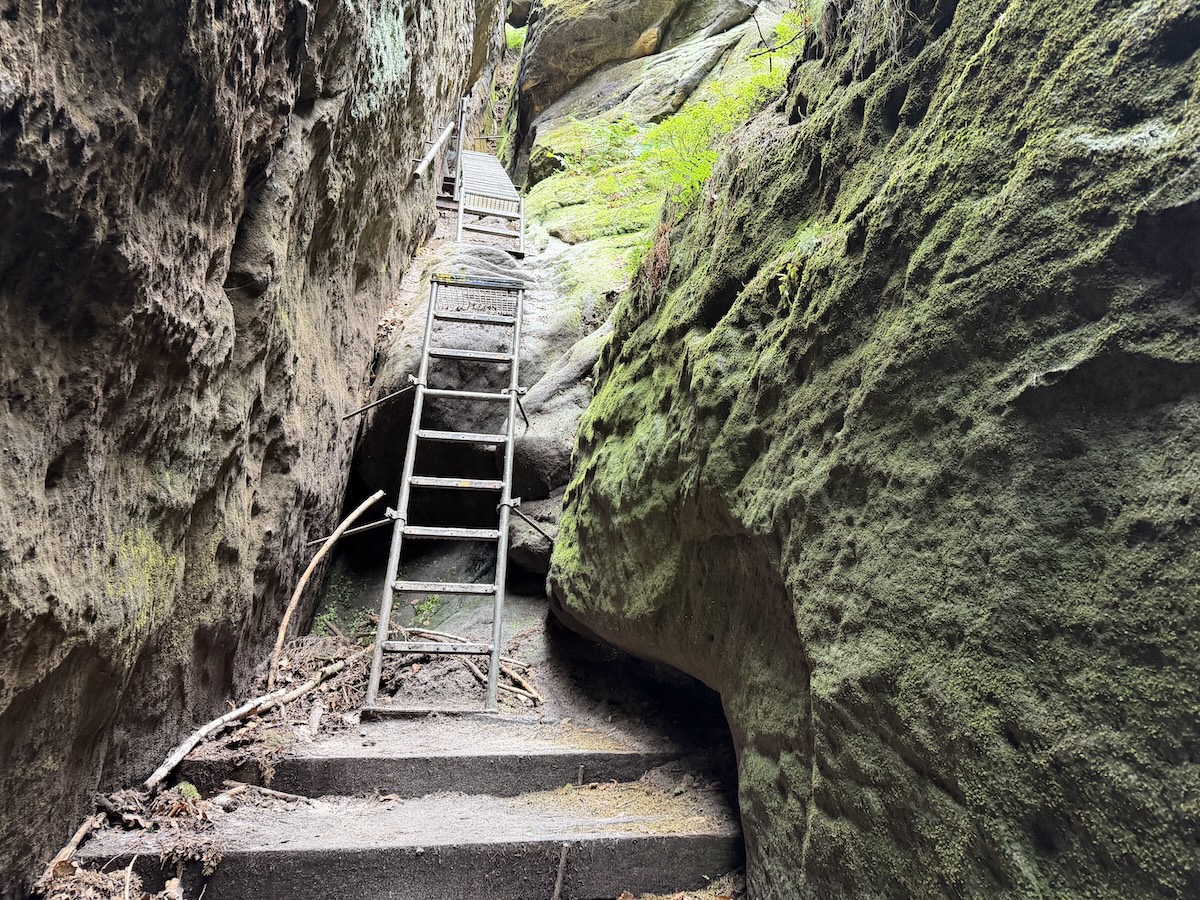 Steile Leiterstufen führen durch eine enge Felsspalte mit moosbewachsenen Sandsteinwänden auf dem Malerweg in der Sächsischen Schweiz bei Bad Schandau.