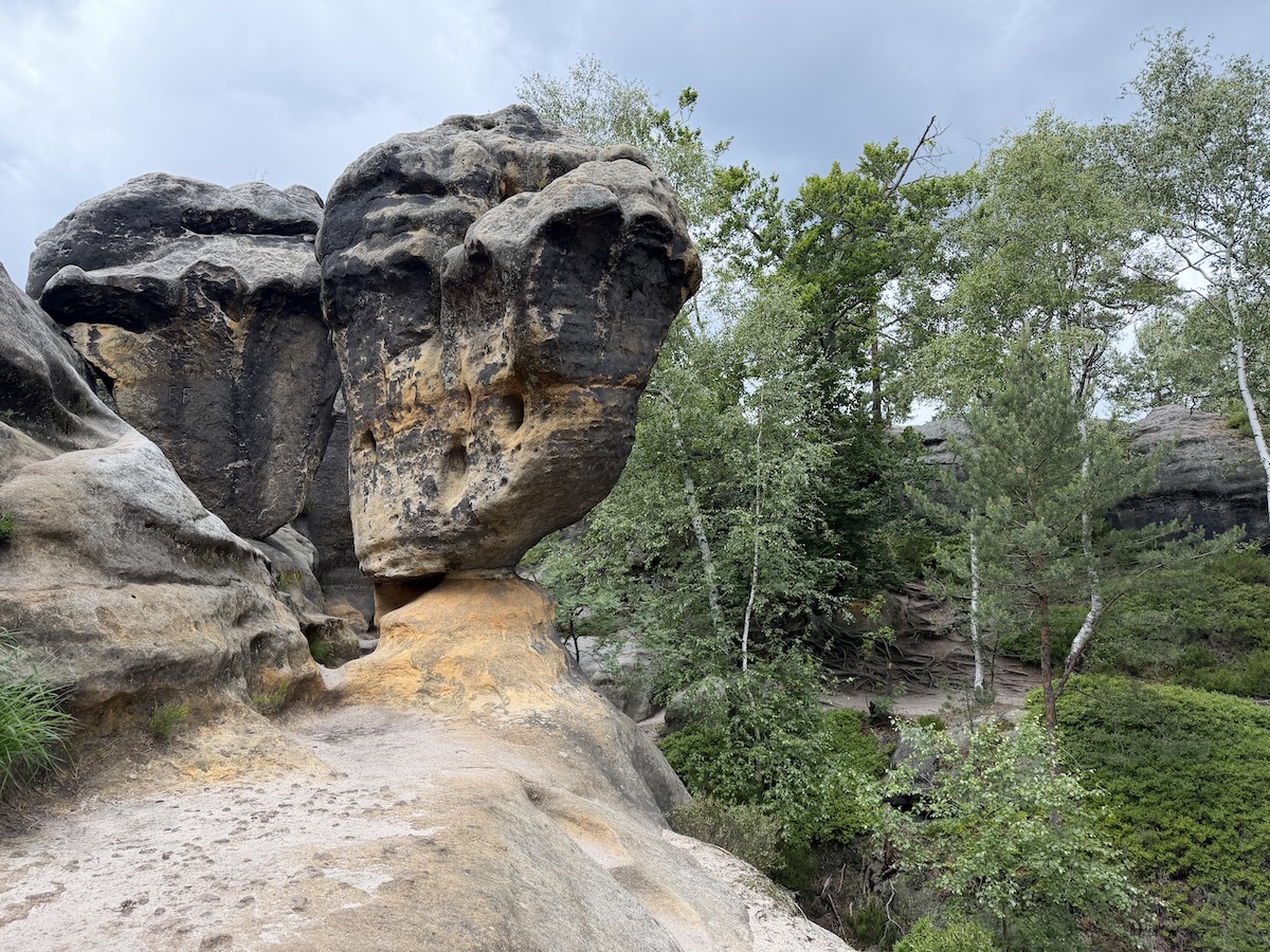 An der Schrammsteinaussicht ragt eine markante Felsnadel über den Wald, während helle Sandsteinflächen und dunkle Wolken die Sächsische Schweiz prägen.