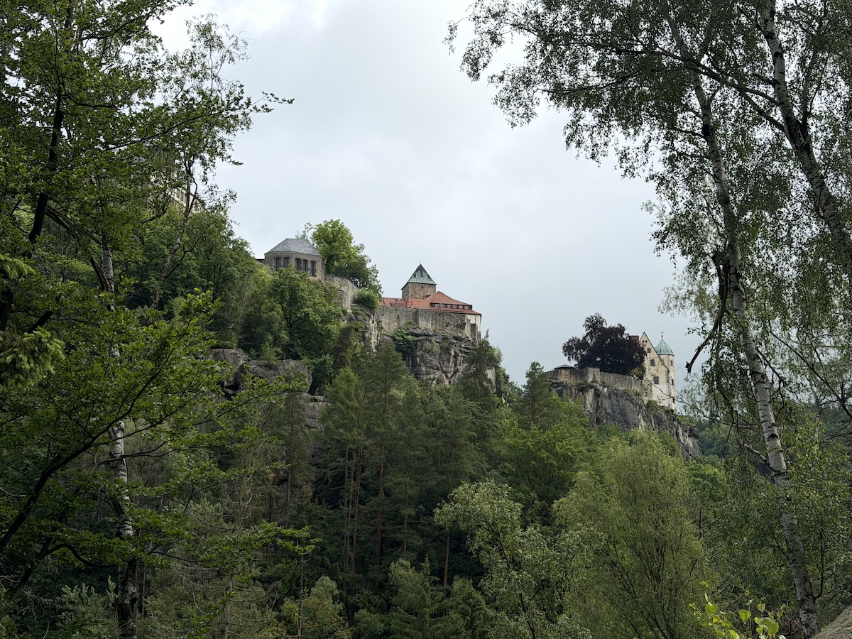 Über dichten Bäumen ragt eine Burganlage auf Felsklippen in der Sächsischen Schweiz auf, eingerahmt von Birken und dunklen Waldhängen.