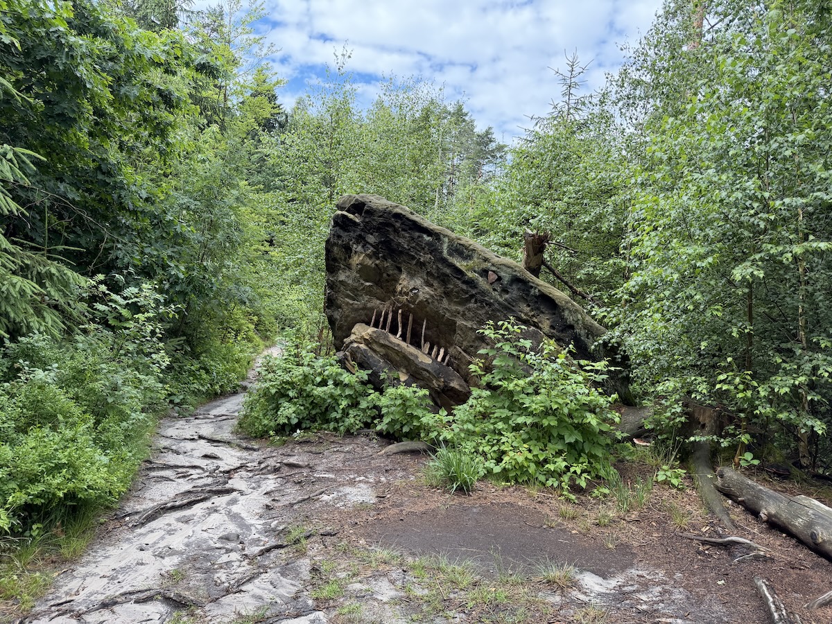 Auf dem Malerweg bei Hohnstein führt ein schmaler Waldpfad an einem großen Felsblock vorbei, während frisches Grün und ein wolkiger Himmel die Sächsische Schweiz prägen.
