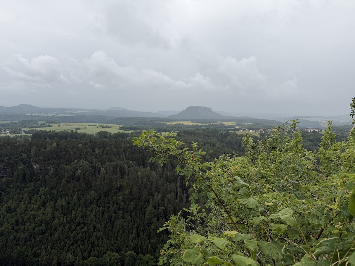 Blick über das bewaldete Elbtal der Sächsischen Schweiz mit Hügeln, Feldern und einer markanten Tafelbergsilhouette unter dichten grauen Wolken.