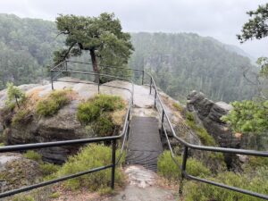 Auf dem Malerweg Etappe 3 führt ein schmaler Metallsteg über einen Felskopf mit Kiefer und Blick in das neblige Waldtal bei Hohnstein.