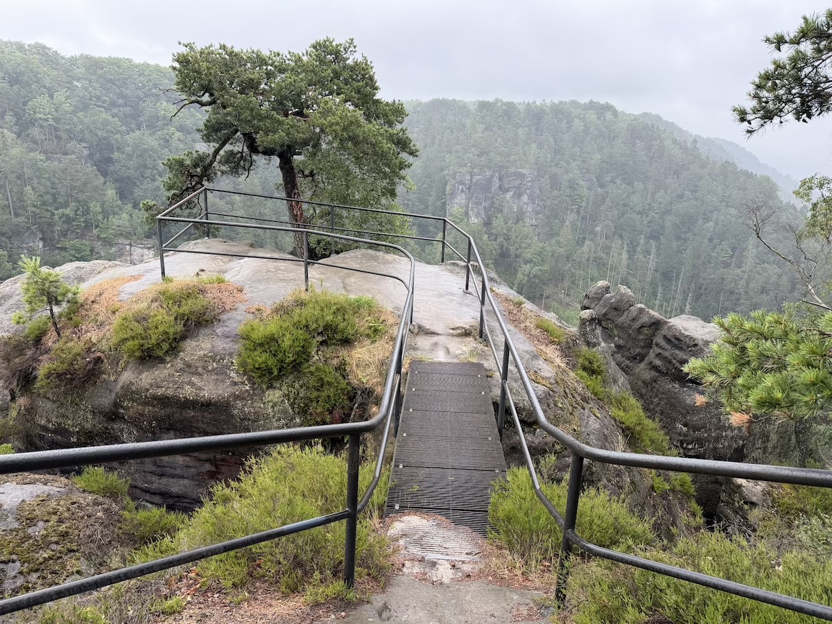 Auf dem Malerweg Etappe 3 führt ein schmaler Metallsteg über einen Felskopf mit Kiefer und Blick in das neblige Waldtal bei Hohnstein.