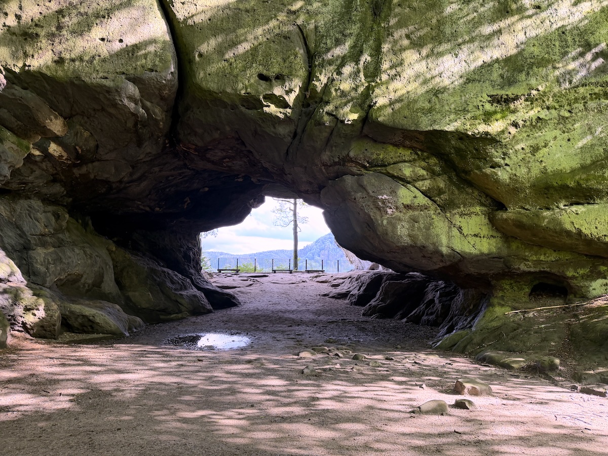 Unter dem gewaltigen Felsdach des Kuhstalls fällt der Blick durch die Höhle auf Felsen, Wald und ein Geländer im Licht der Sächsischen Schweiz.