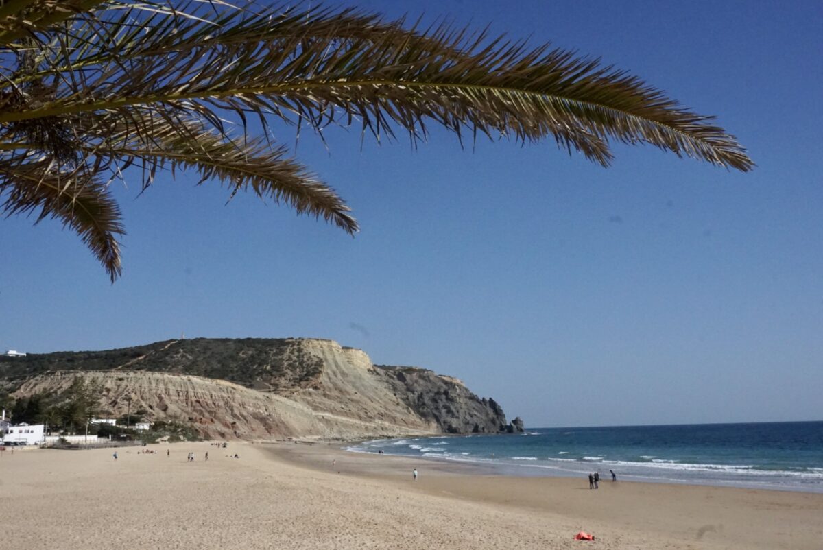 Ein breiter Sandstrand an der Algarve liegt vor steilen Felsen, darüber ragen Palmenwedel in den klaren Himmel.