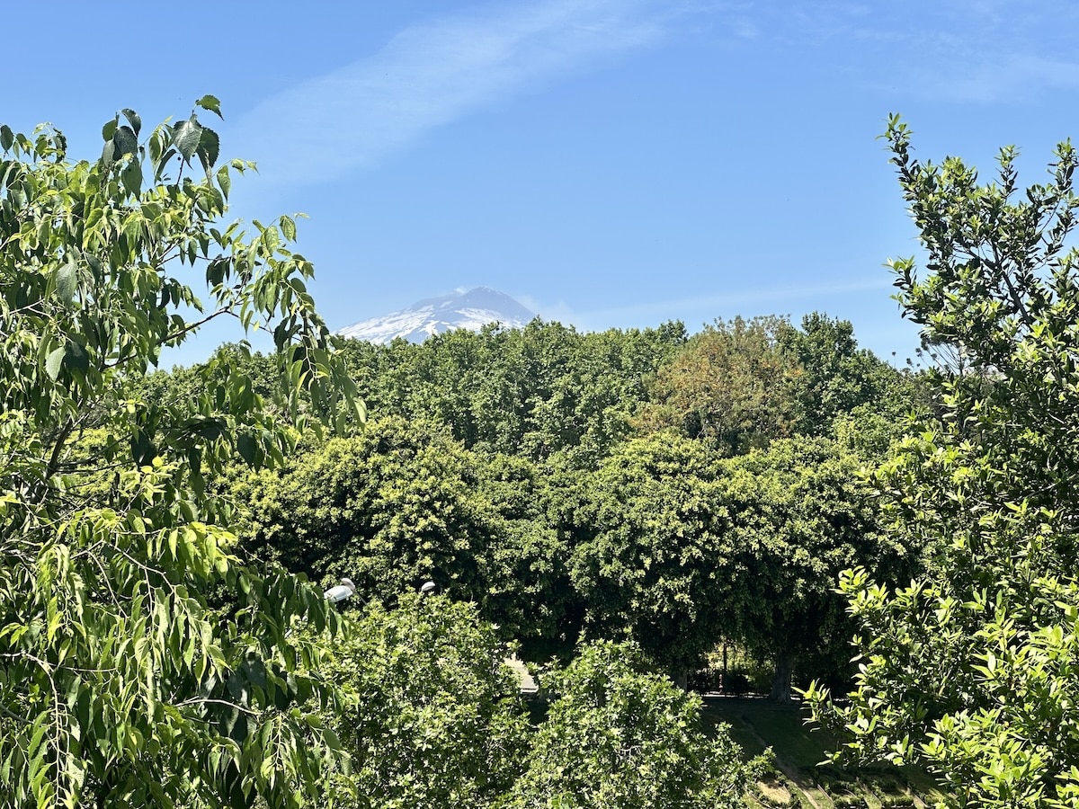 Über dichten grünen Baumkronen erhebt sich der schneebedeckte Ätna unter klarem blauen Himmel und zeigt Catanias Lage zwischen Stadt und Vulkan.