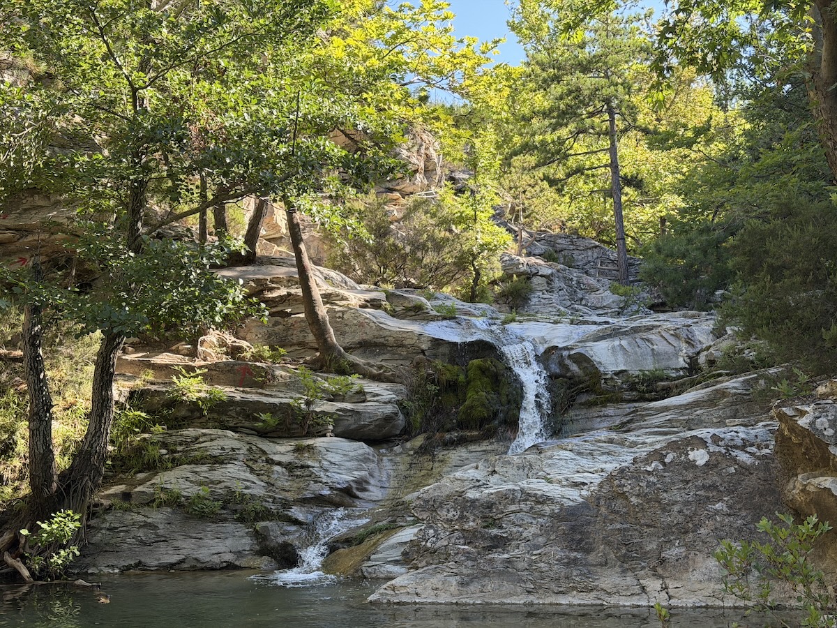 Ein kleiner Wasserfall fließt über helle Felsen durch einen grünen Wald in einen ruhigen Tümpel.