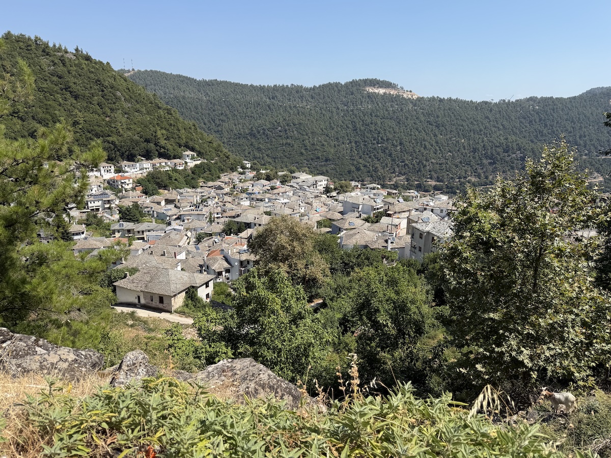 Von grünen Bergen umgebenes Panagia auf Thassos mit dicht bebauten Häusern und traditioneller Dorfstruktur