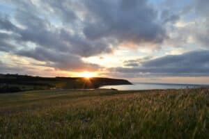Goldener Sonnenuntergang über Feldern und Küste bei Stokes Bay auf Kangaroo Island mit ruhiger Meeresbucht