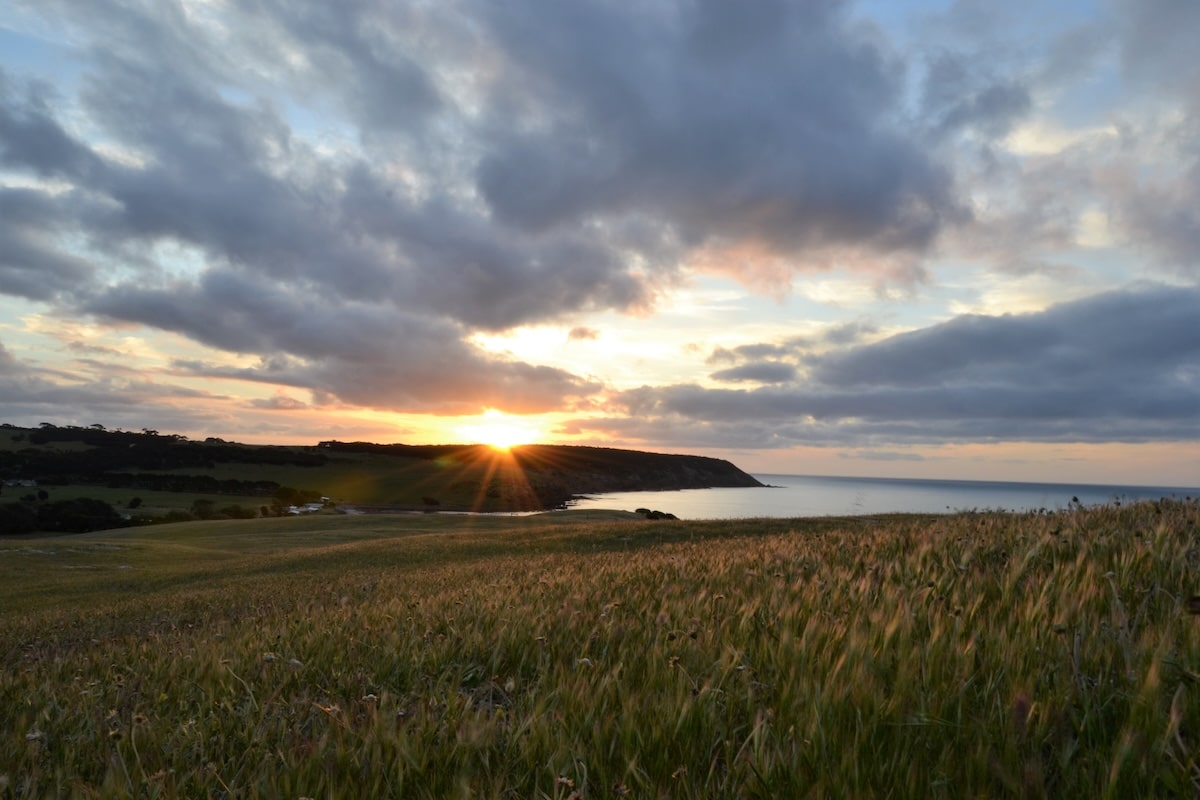 Goldener Sonnenuntergang über Feldern und Küste bei Stokes Bay auf Kangaroo Island mit ruhiger Meeresbucht